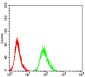 Mouse Monoclonal Antibody to ADRB2